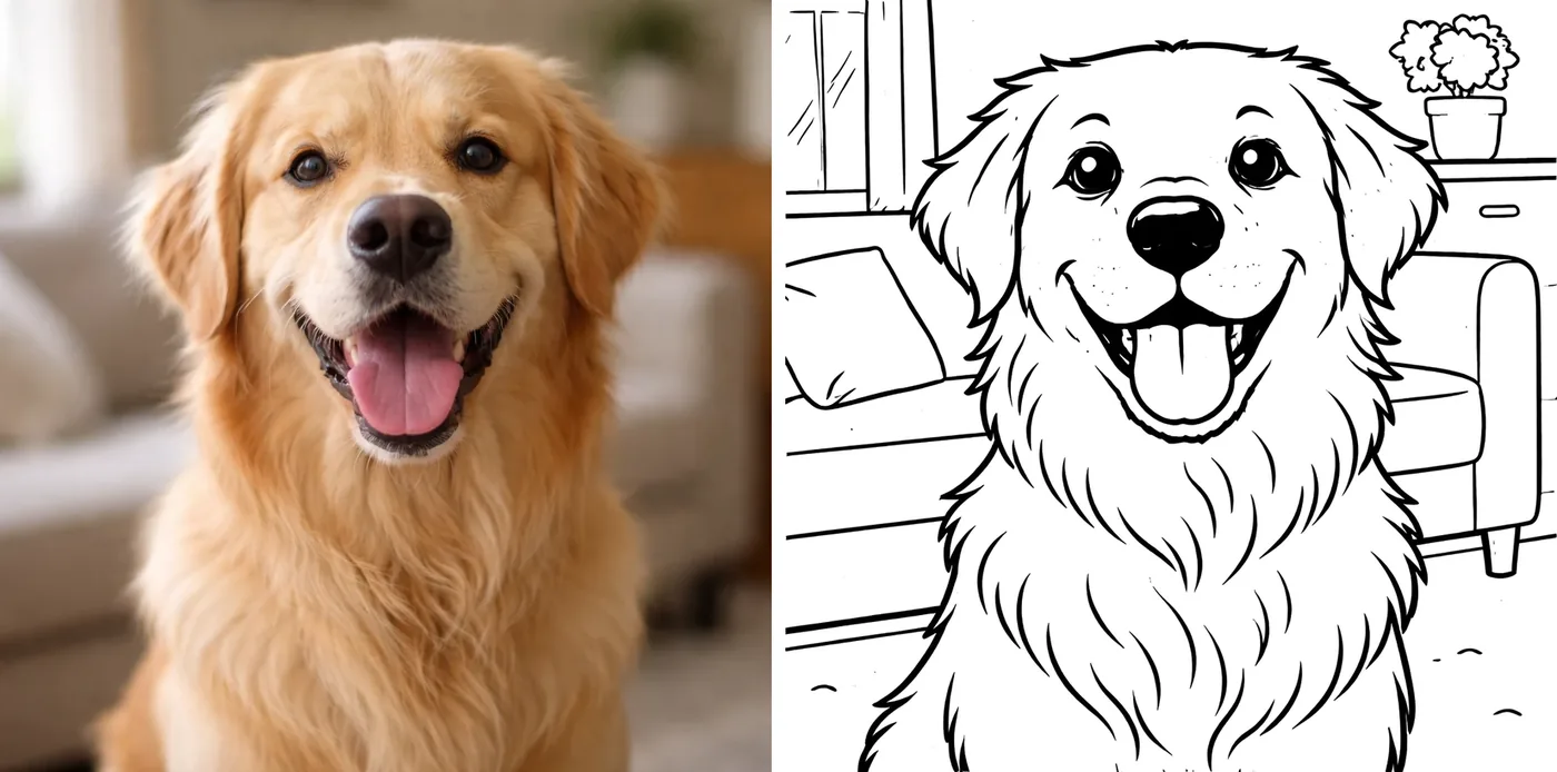 A real photo of a golden retriever on the left and the same dog as a clean coloring page on the right